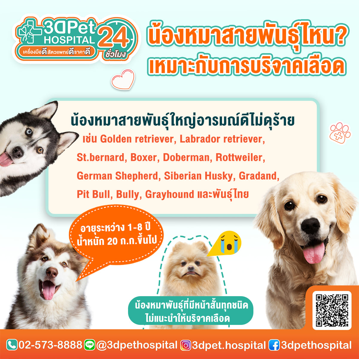เทคนิค Grooming ที่ช่างมืออาชีพใช้