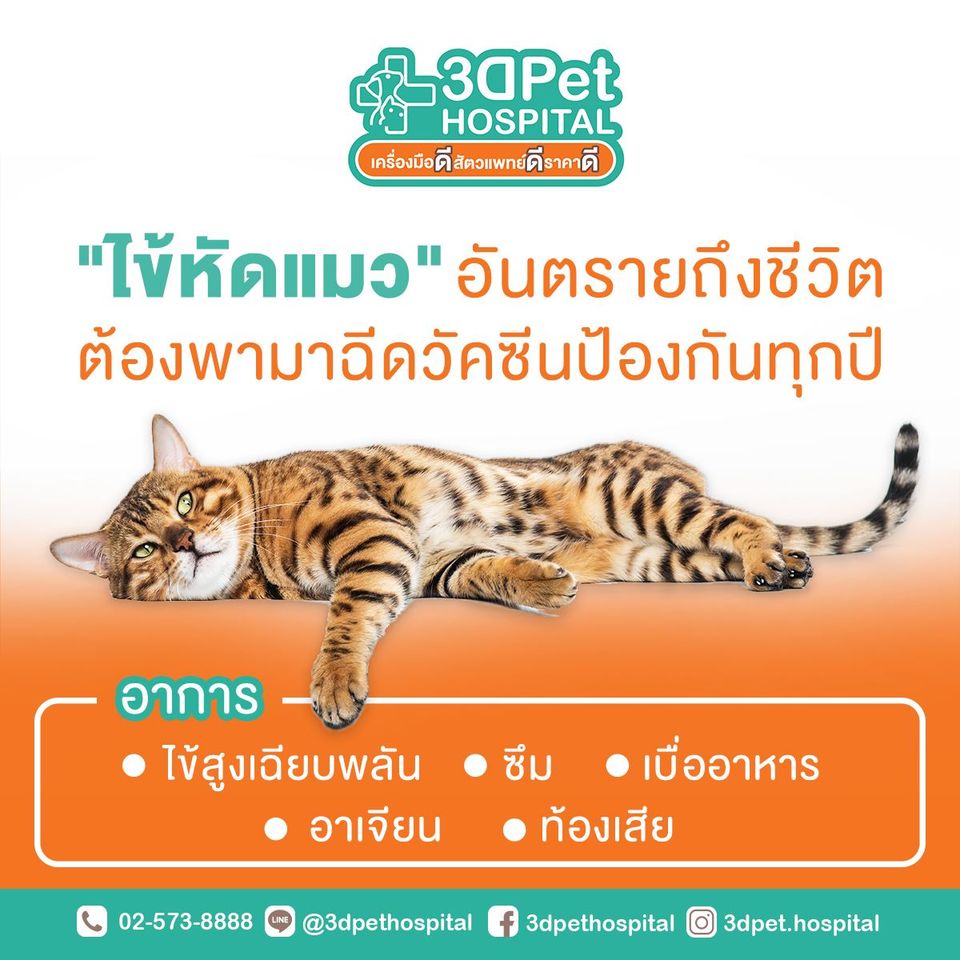 Pet Shop ต้องดูแลต่างจากสุนัขและแมวอย่างไร