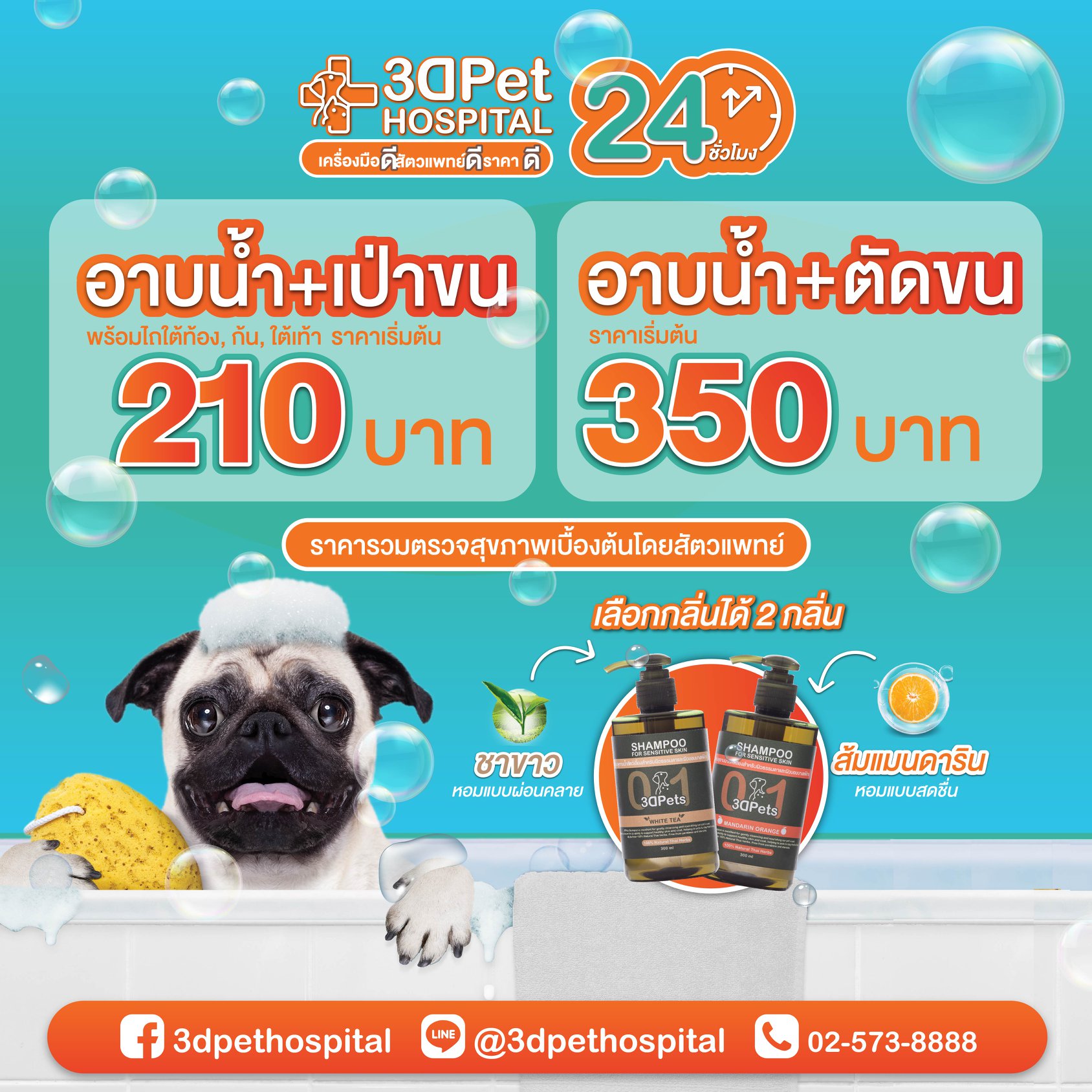 ห้องอาบน้ำตัดขนสัตว์เลี้ยง สะอาด ปลอดภัย