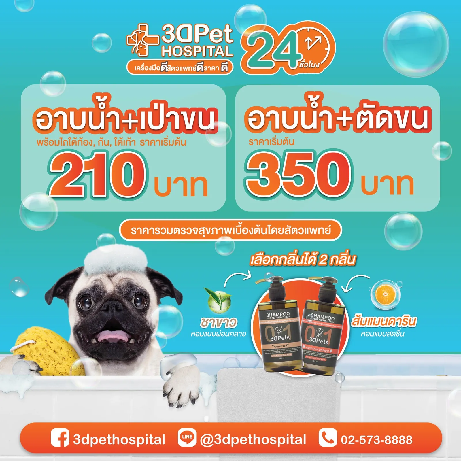 ห้องอาบน้ำตัดขนสัตว์เลี้ยง สะอาด ปลอดภัย