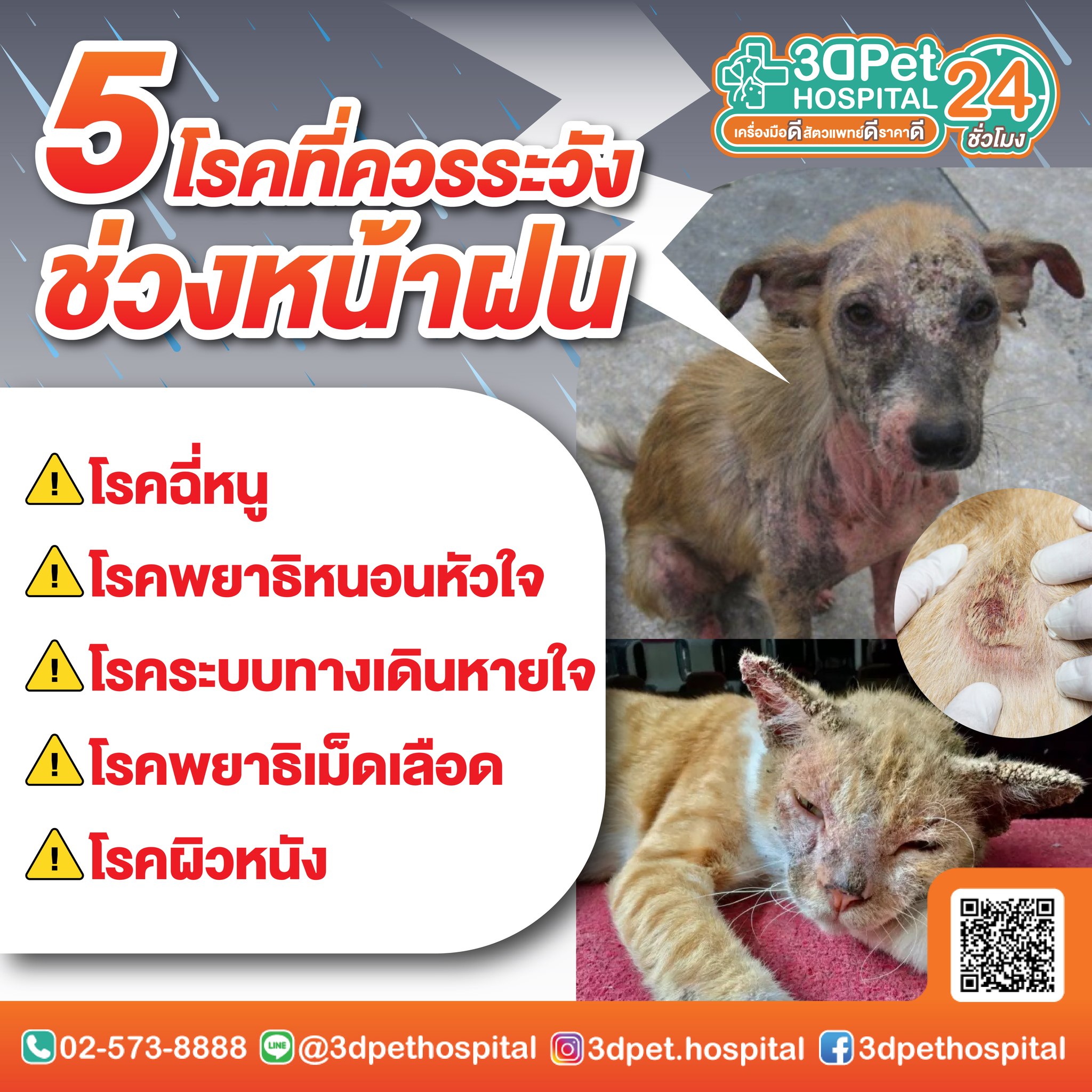 บริการครบวงจรสำหรับสัตว์เลี้ยง