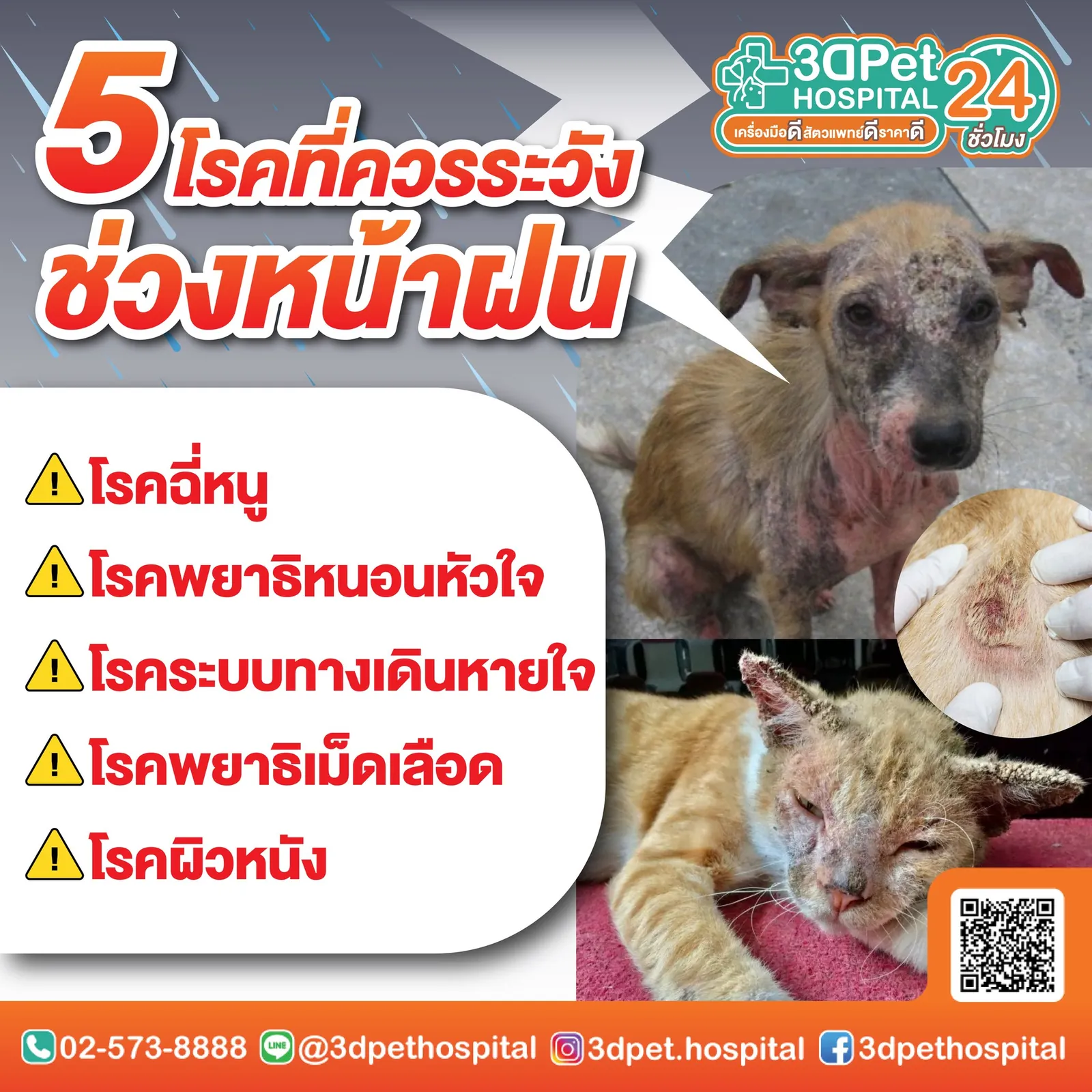 บริการครบวงจรสำหรับสัตว์เลี้ยง